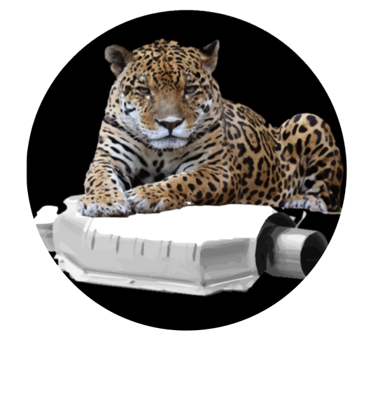 Monthly Cell Service Subscription